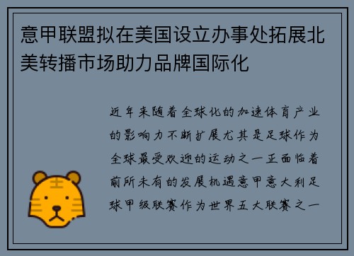 意甲联盟拟在美国设立办事处拓展北美转播市场助力品牌国际化 意甲联盟拟在美国设立办事处拓展北美转播市场助力品牌国际化